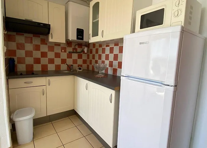 Studio lumineux 4 personnes avec vue mer, parking privé - FR-1-81-485 *