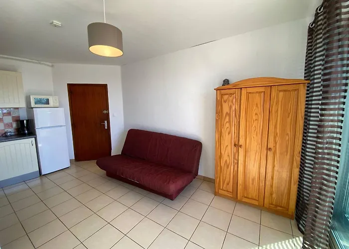Appartement Studio lumineux 4 personnes avec vue mer, parking privé - FR-1-81-485